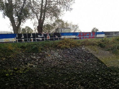 Graffiti Bombing - Photo by snaqq - HSV (2013)