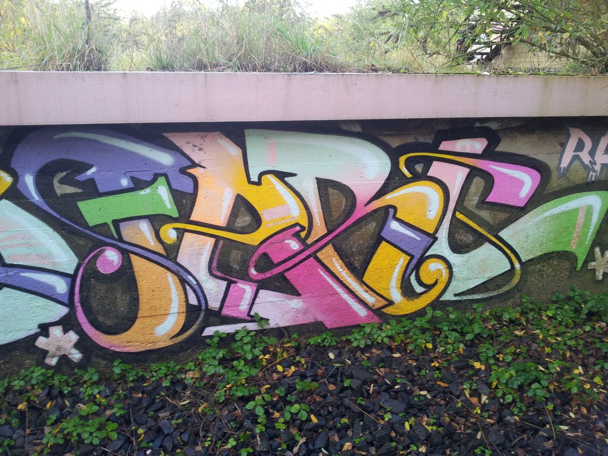 Graffiti Wall - Photo by snekkerz - ferc