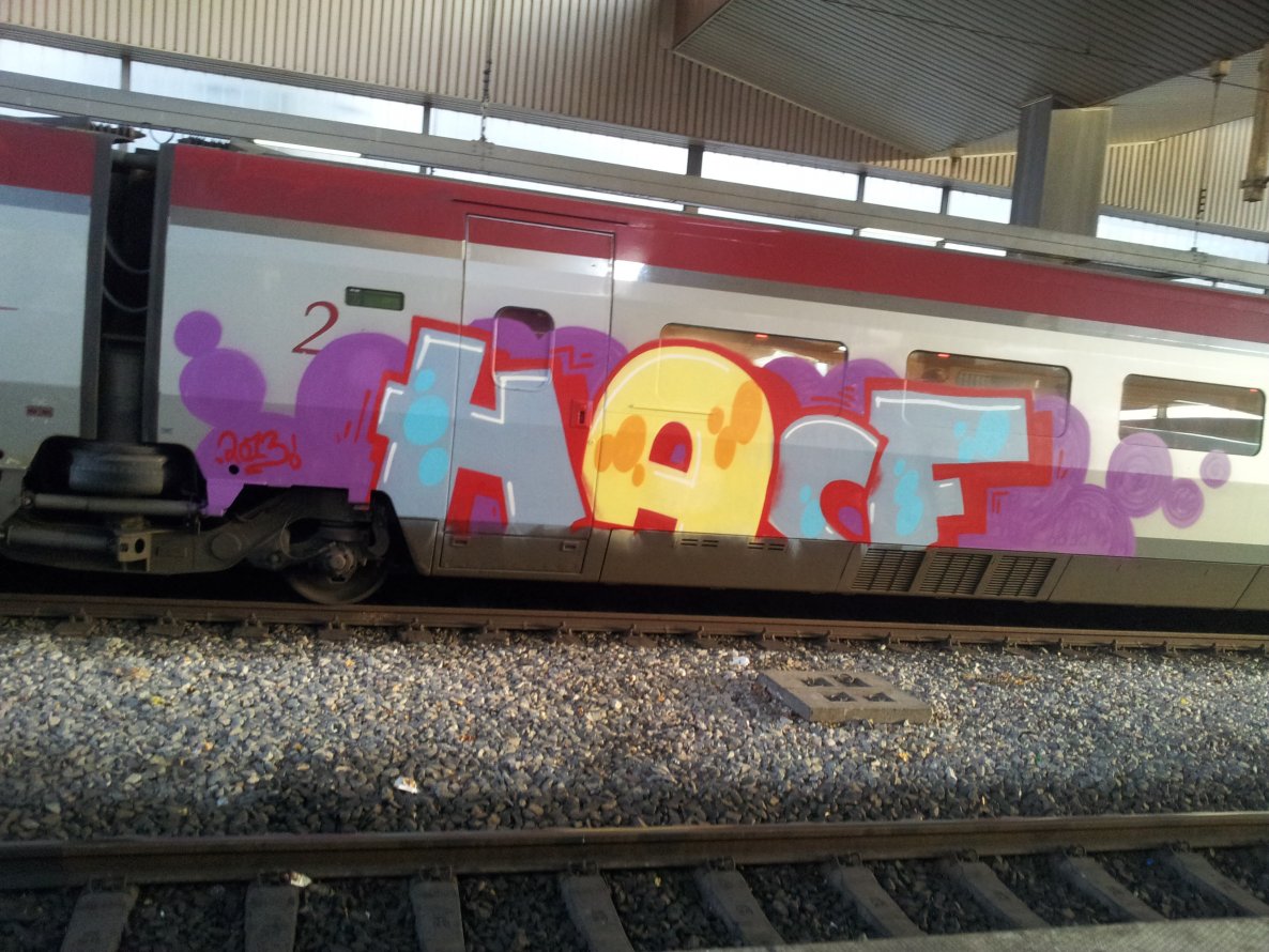 Graffiti Train - Photo by snekkerz - HACF (2013)