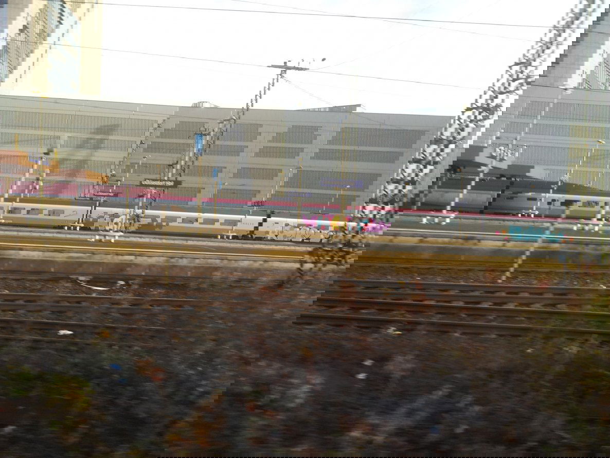 Graffiti Train in Dusseldorf - Photo by snekkerz - hacf, taps (2013)