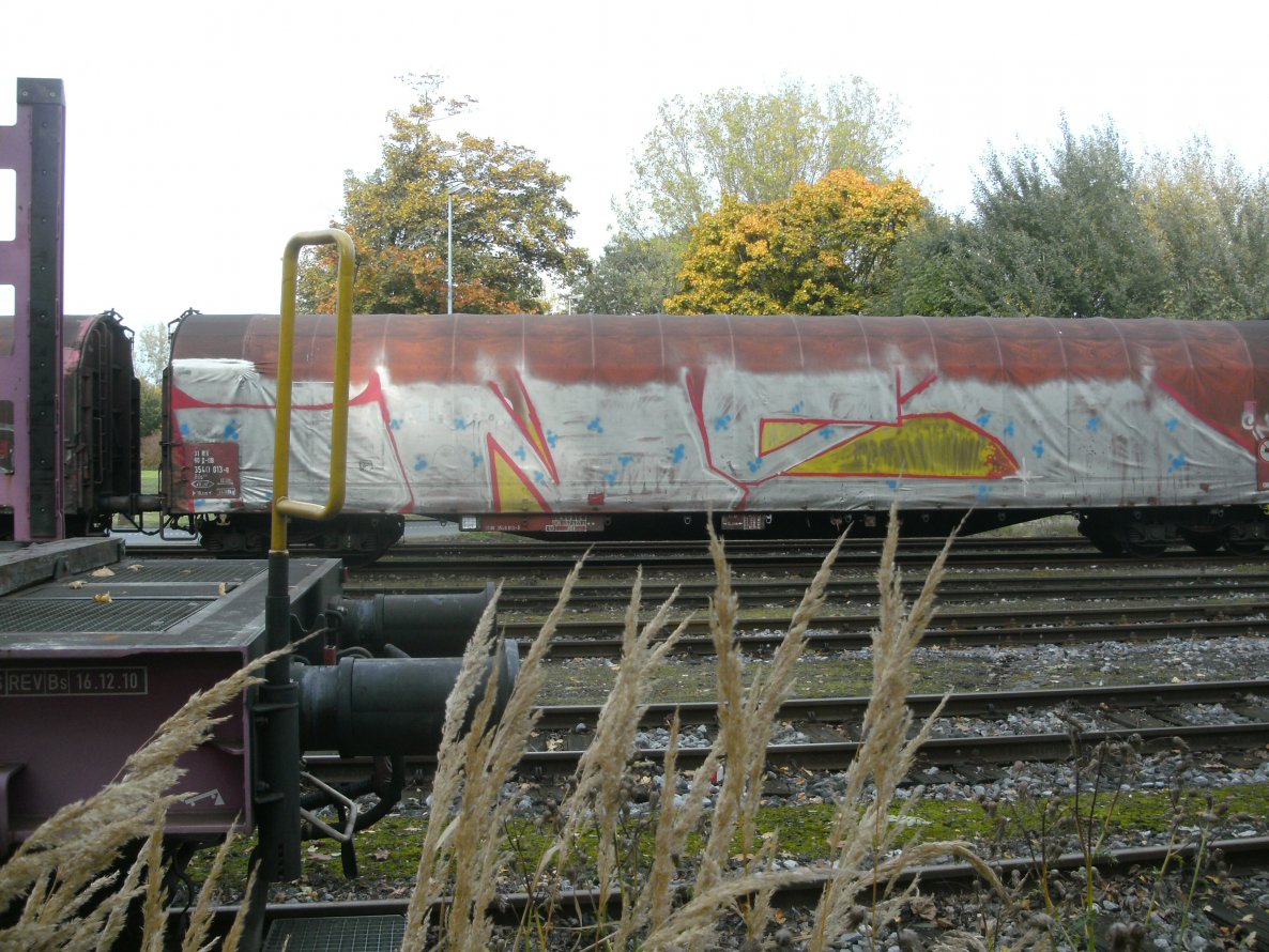 Graffiti Train - Photo by snekkerz - ins