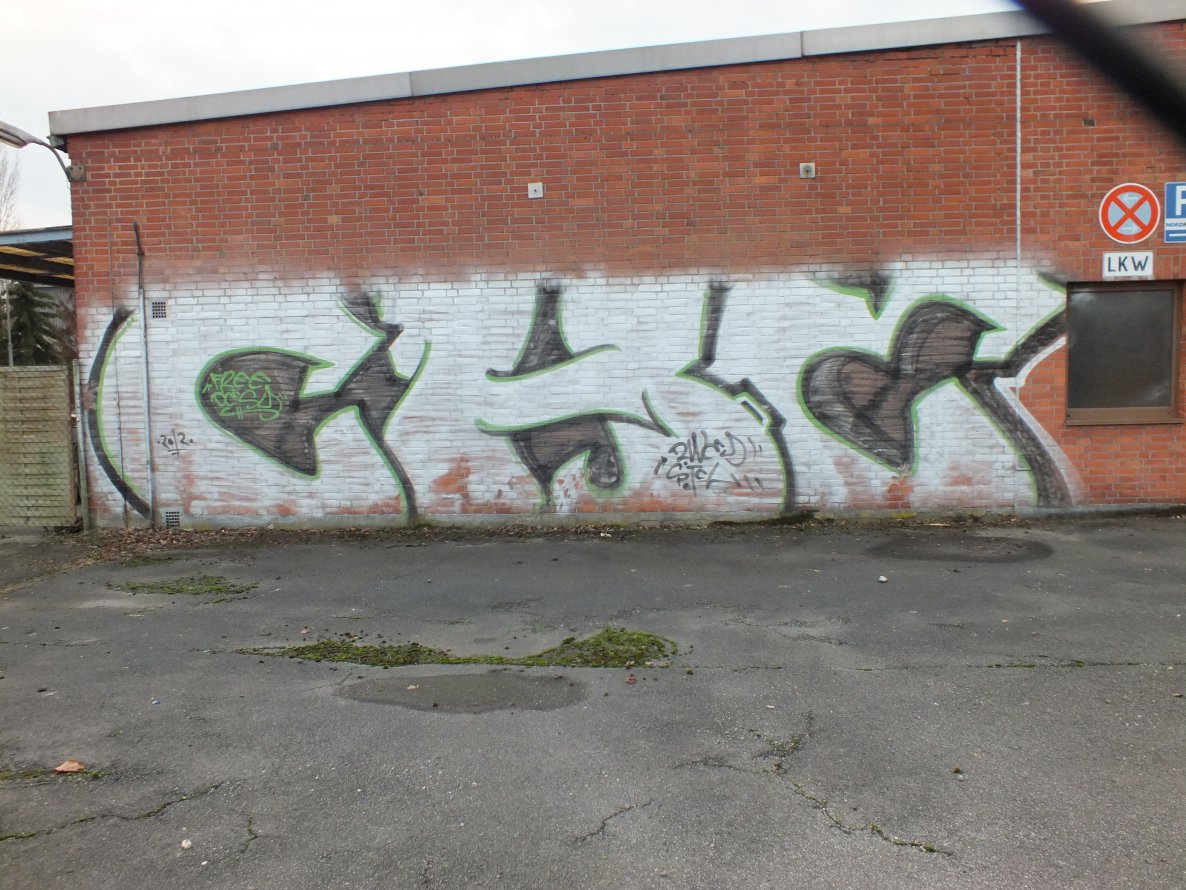Graffiti Bombing in Duisburg - Photo by snekkerz - che, zwey