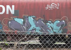 Photo #62553 by TheWallHunter