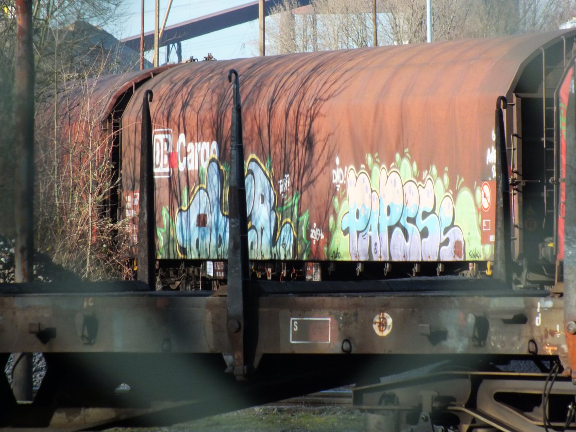Graffiti Train in Duisburg - Photo by snekkerz - oder, paps, papsss (2010)