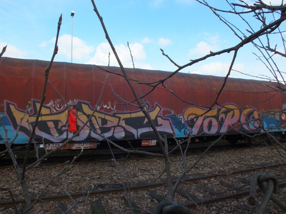 Graffiti Train in Duisburg - Photo by snekkerz