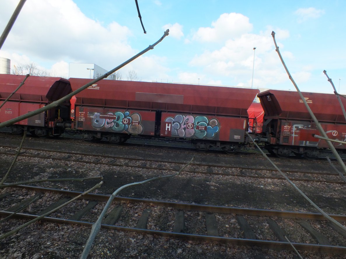 Graffiti Train in Duisburg - Photo by snekkerz - debil, frei, fuck