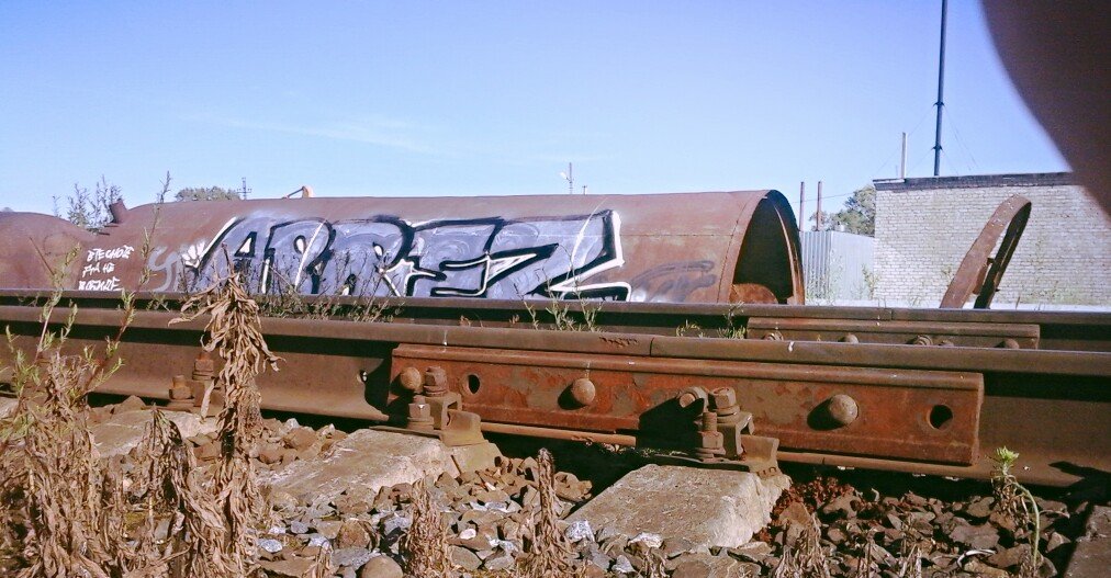 Graffiti Bombing - Photo by sobakapoezd - Abrez, . (2014)