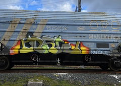 Graffiti Train in Указать Местоположение - Photo by soket2dsl - freights, bombing, graffiti (2024)
