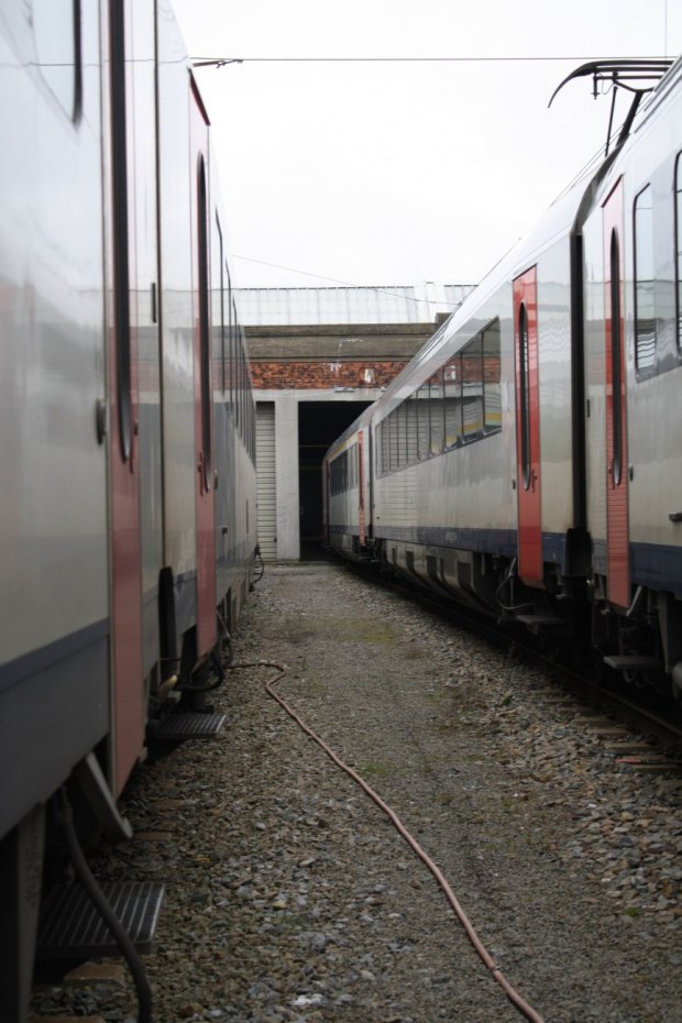 Graffiti Train - Photo by solaplexus - intercity, 473