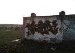 Photo #59372 by TrueGame