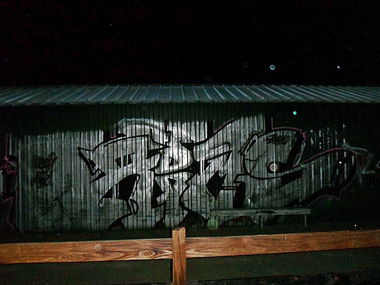 Graffiti Bombing - Photo by somer