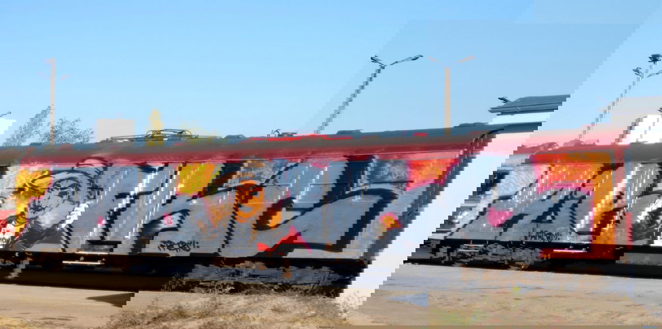 Graffiti Train - Photo by somer