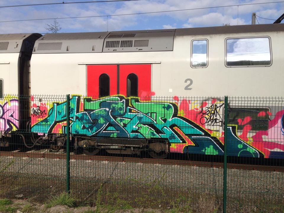Graffiti Train - Photo by somer