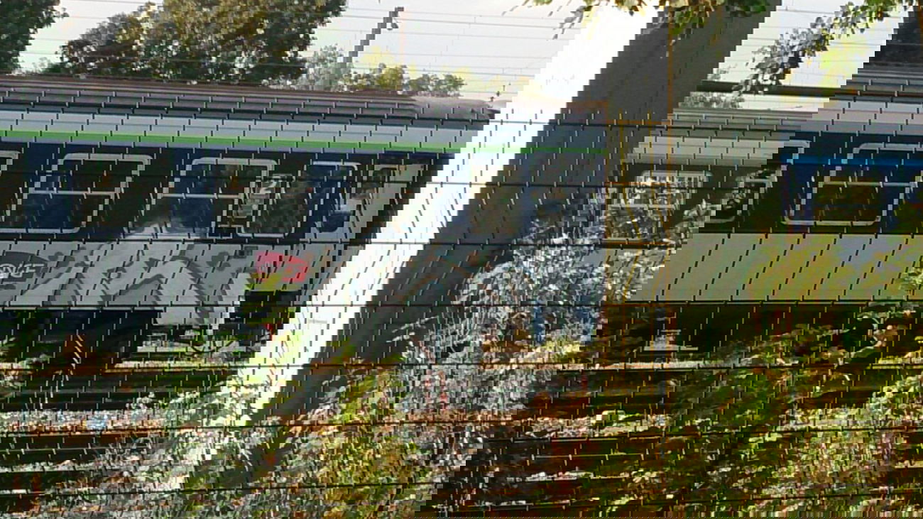 Graffiti Train - Photo by somer