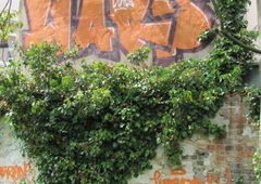 Photo #1332 by DerKoeter