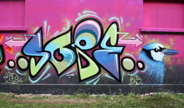 Graffiti Wall in Fribourg - Photo by sope798 - sope798, sope, skb (2013)