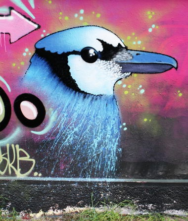 Graffiti Wall in Fribourg - Photo by sope798 - sope798, sope, skb (2013)