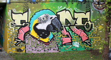 Graffiti Wall in Sarnen - Photo by sope798 - sope, sope798, vogel (2014)