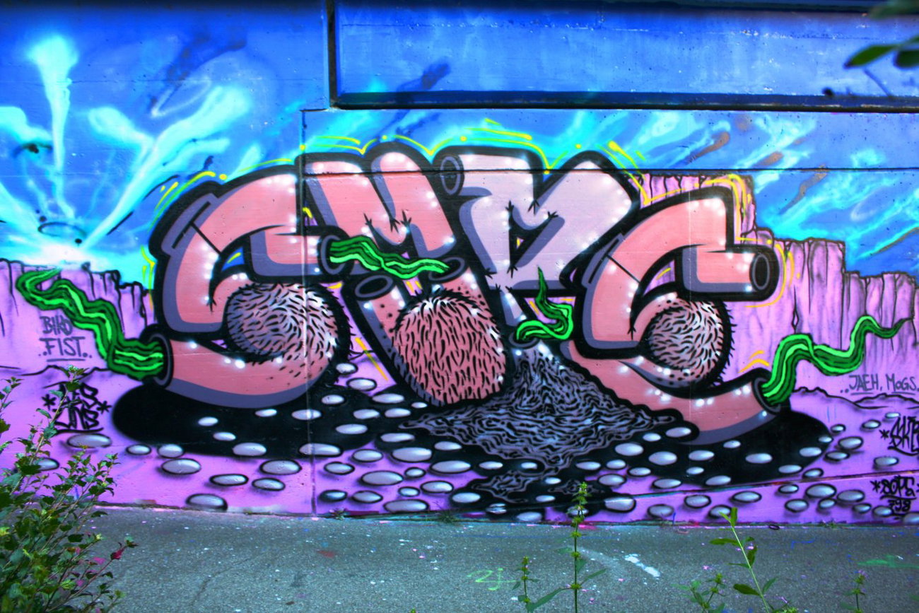 Graffiti Wall in Berne - Photo by sope798 (2014)