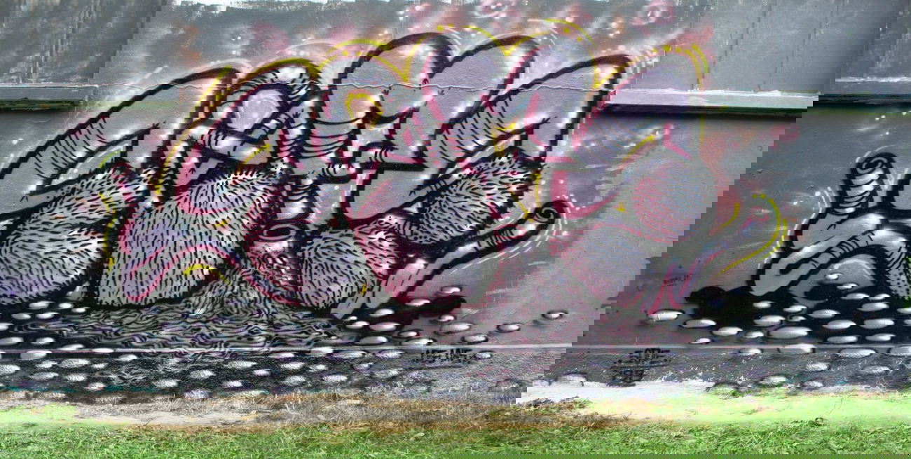 Graffiti Wall in Fribourg - Photo by sope798 (2014)