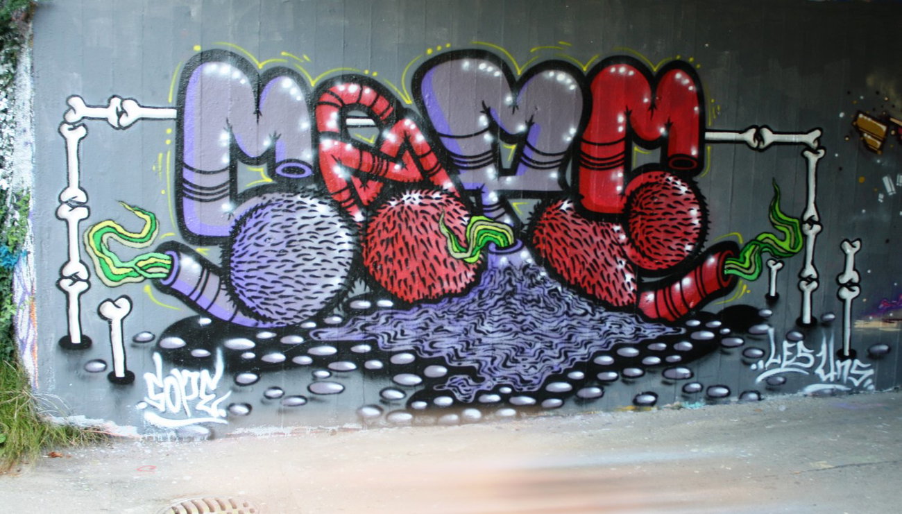 Graffiti Wall in Lausanne - Photo by sope798 (2014)