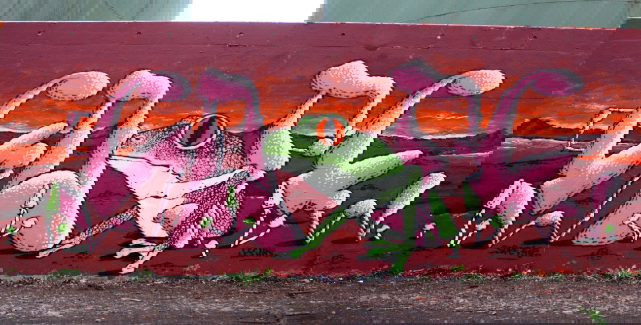 Graffiti Wall - Photo by sope798 - frosch, frog, grenouile (2015)