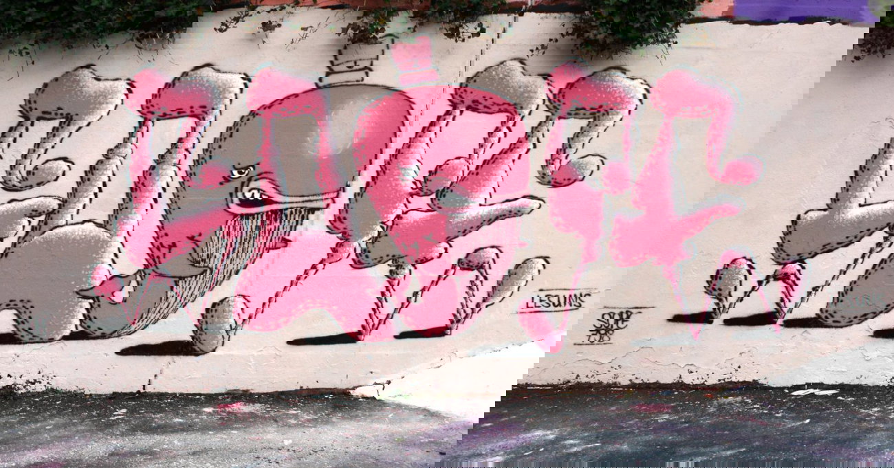 Graffiti Wall - Photo by sope798 - whale, walfisch, baleine (2015)