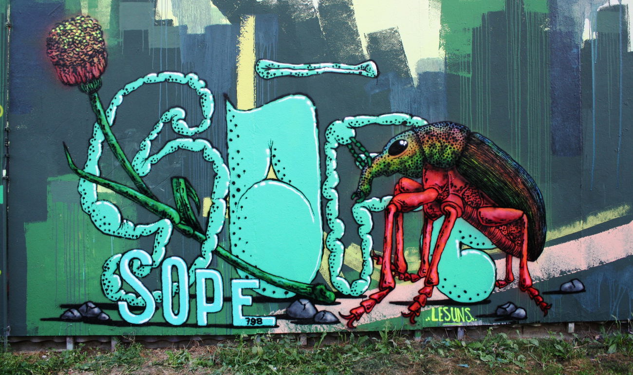 Graffiti Wall in Schweiz - Photo by sope798 (2016)