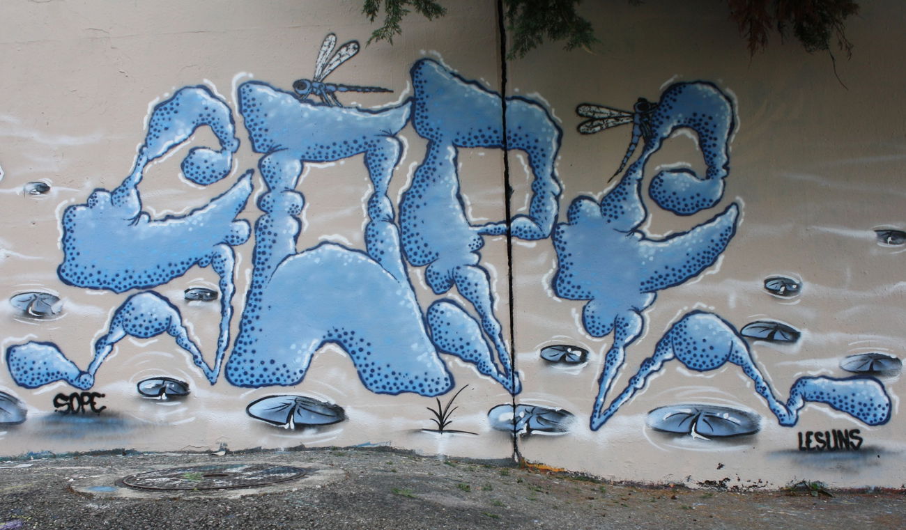 Graffiti Wall in Freiburg - Photo by sope798 (2015)