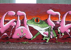 Photo #210836 by Belt