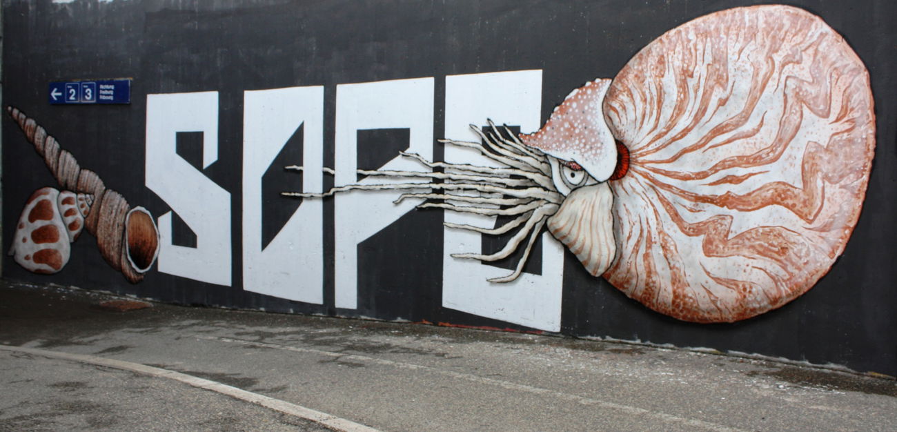 Graffiti Wall in Schmitten (fr) - Photo by sope798 (2017)