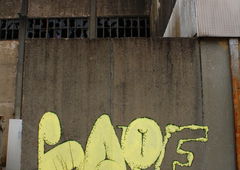 Photo #210845 by Belt