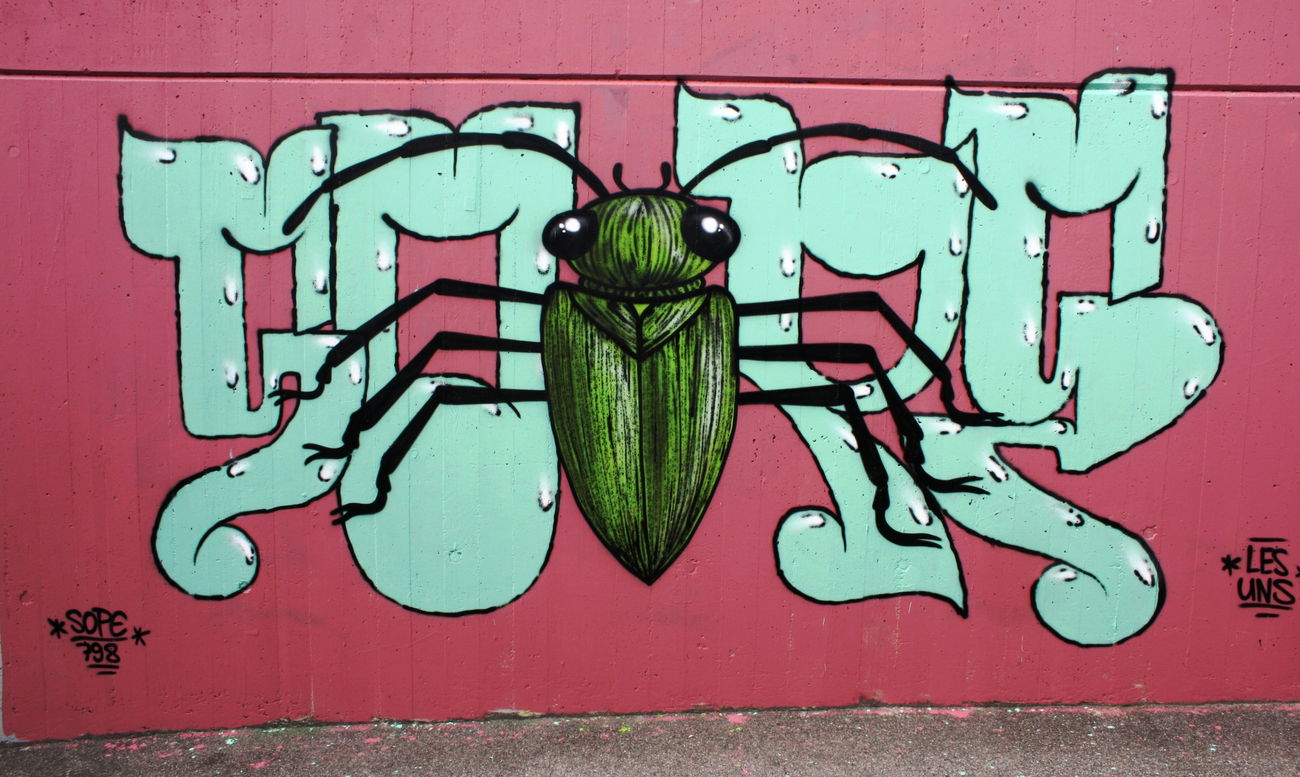 Graffiti Wall in Schweiz - Photo by sope798 (2015)