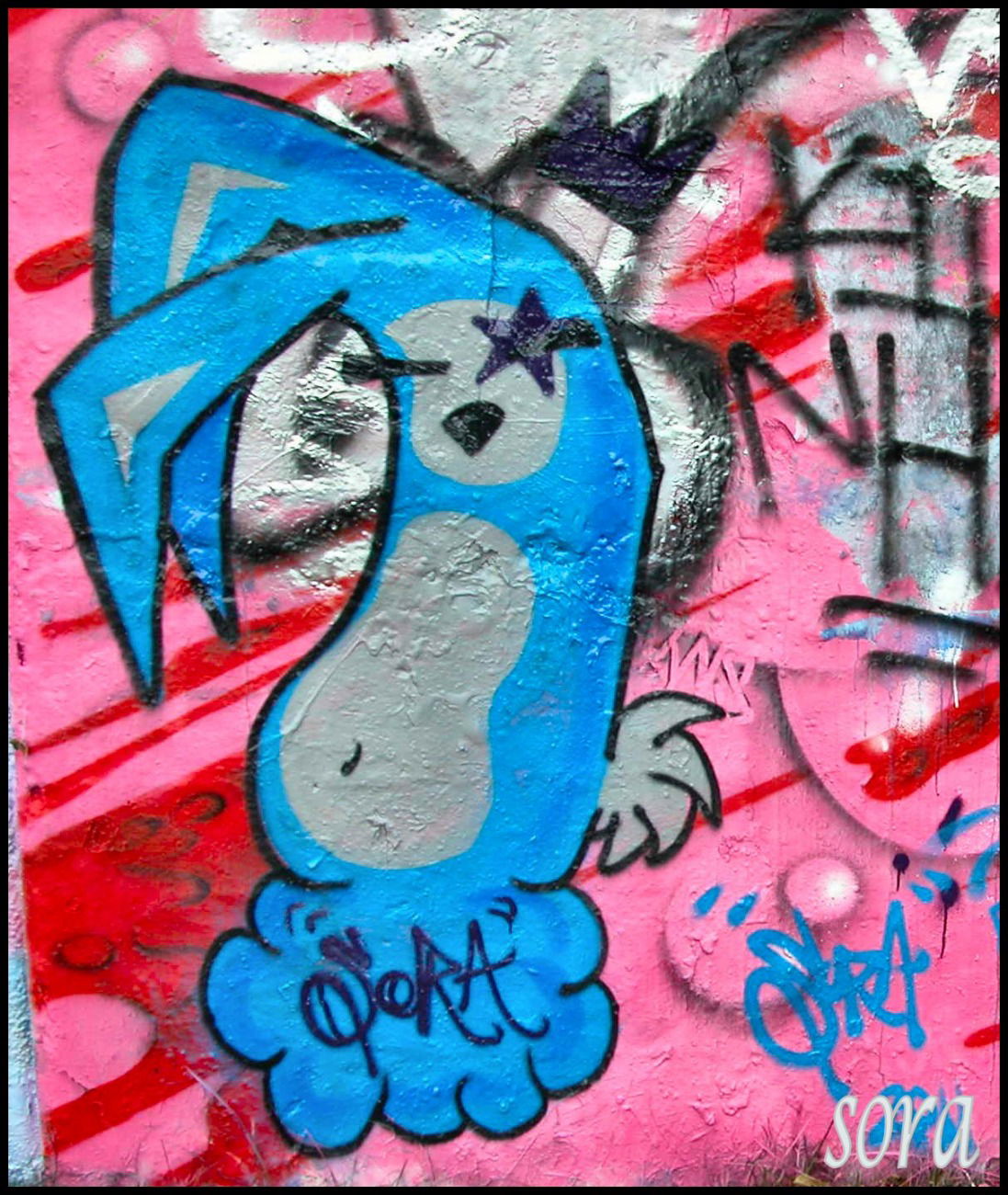 Graffiti Wall - Photo by sora86 - bunny, bull, fields (2012)