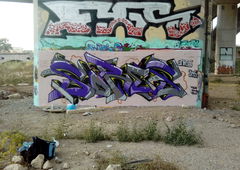 Photo #217355 by 724417