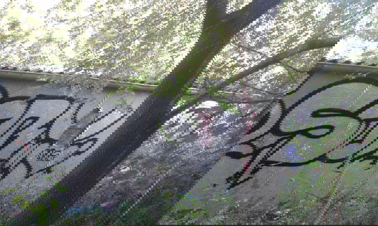 Graffiti Wall - Photo by sorrie - Sorry (2014)