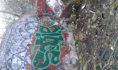 Graffiti Bombing - Photo by sorrie - sorry