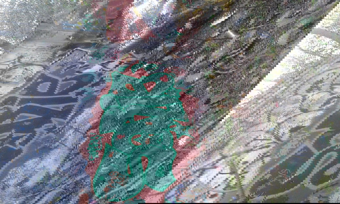 Graffiti Bombing - Photo by sorrie - sorry