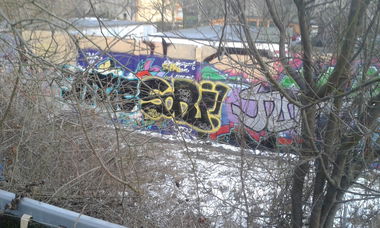 Graffiti Bombing - Photo by sorrie