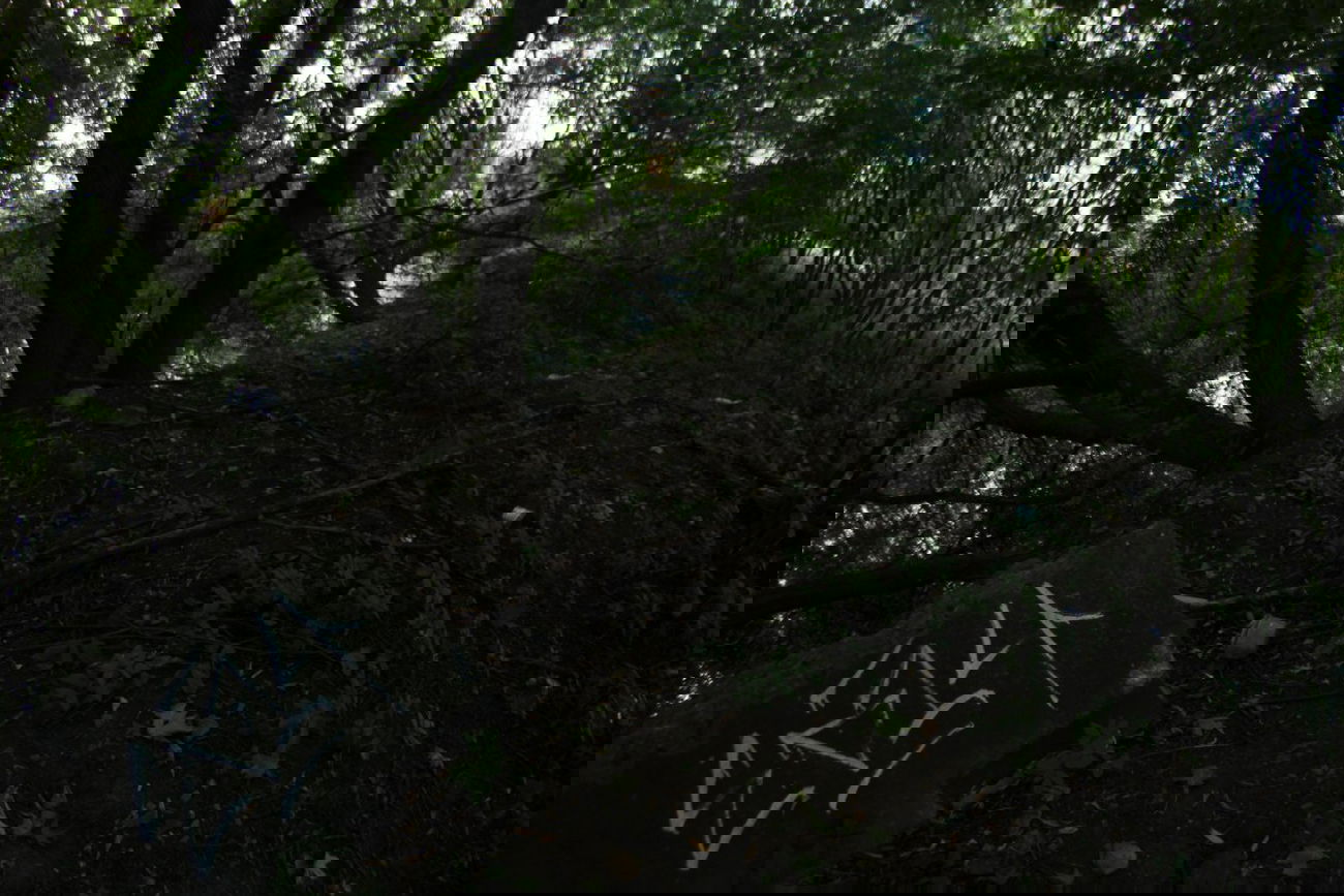 Graffiti Artwork - Photo by sosimple