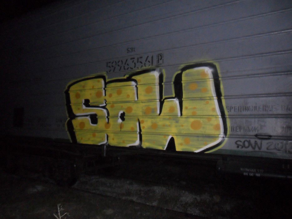 Graffiti Train - Photo by sower