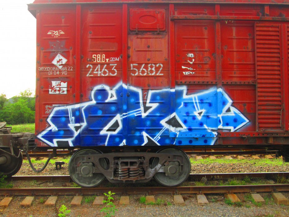 Graffiti Train - Photo by sower