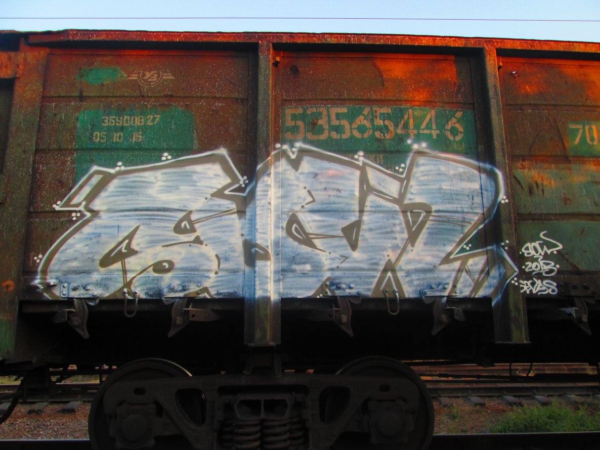 Graffiti Train - Photo by sower - sower (2013)