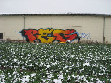 Graffiti Bombing - Photo by spacetrader