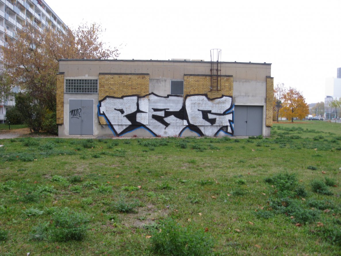 Graffiti Bombing - Photo by spacetrader - PEG, Leipzig, ? (2012)
