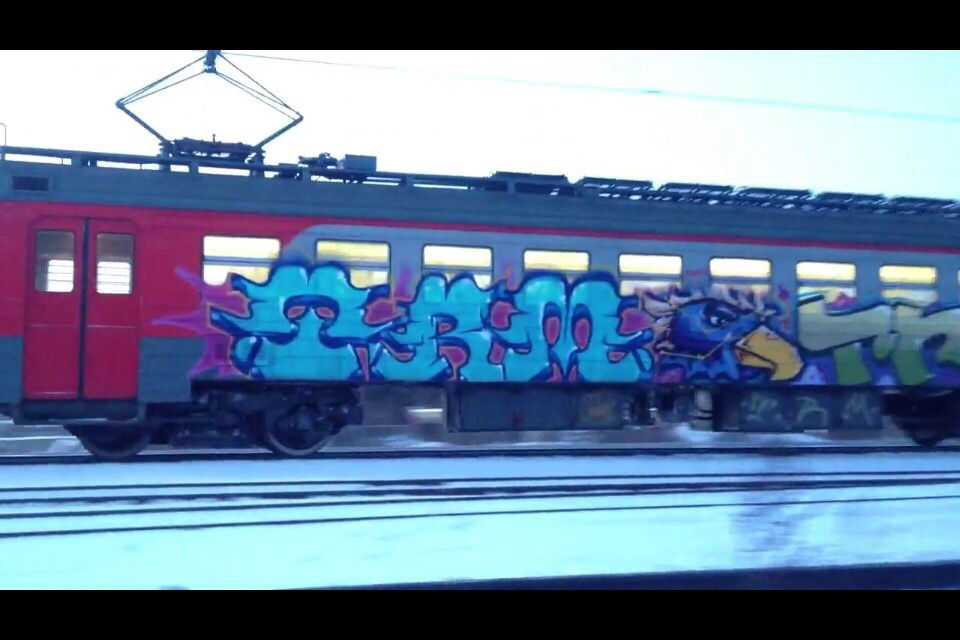 Graffiti Train - Photo by spek1trmcrew (2013)