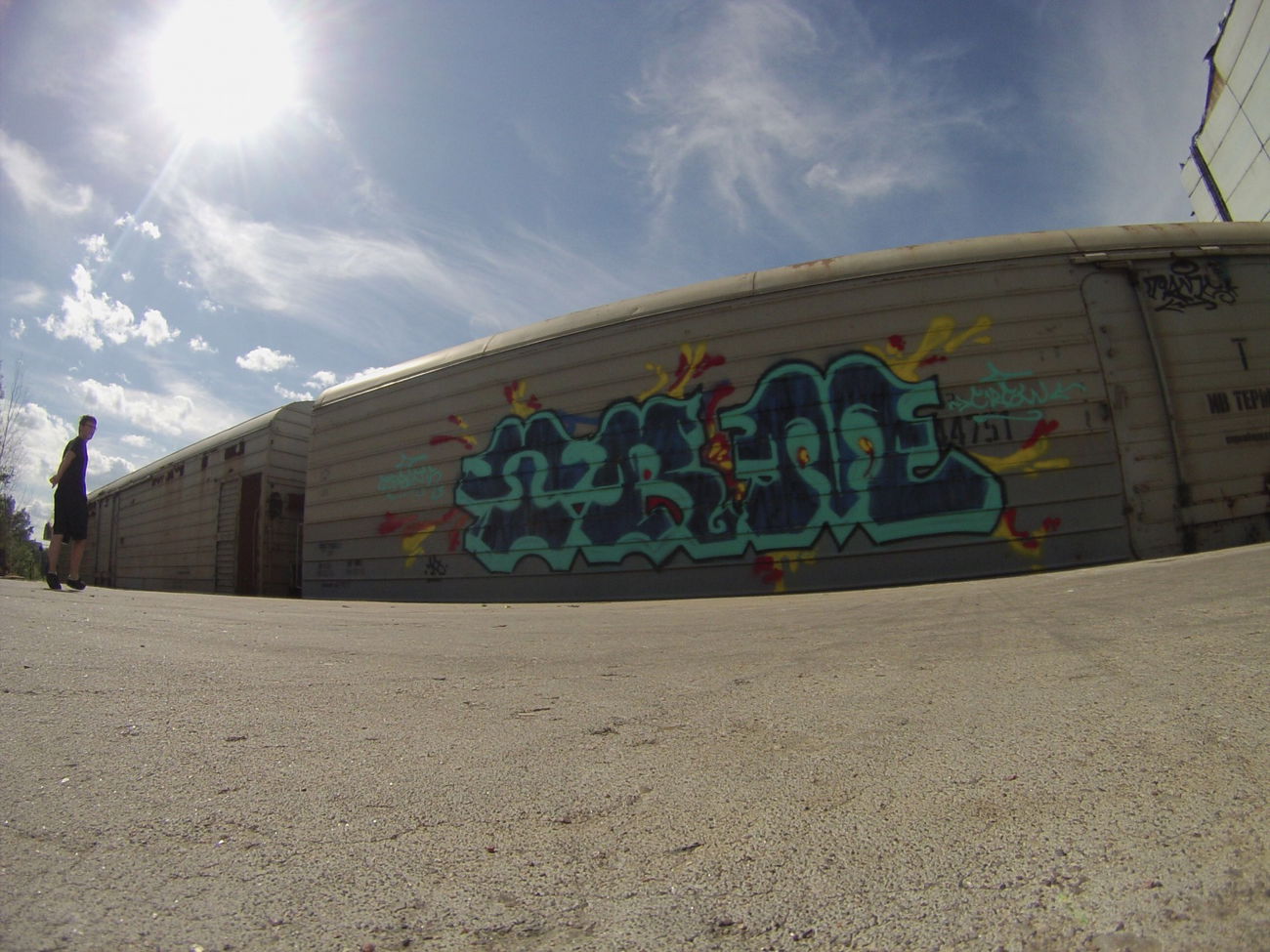 Graffiti Train - Photo by spek1trmcrew (2015)