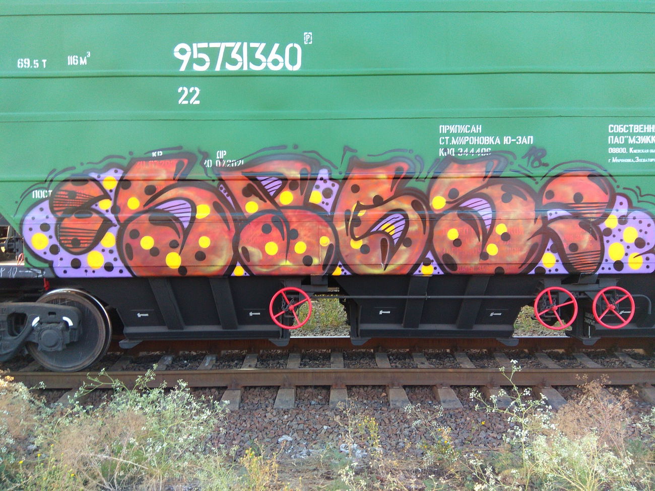 Graffiti Train - Photo by spgs222 - SPG (2018)