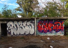 Photo #224265 by Dalton