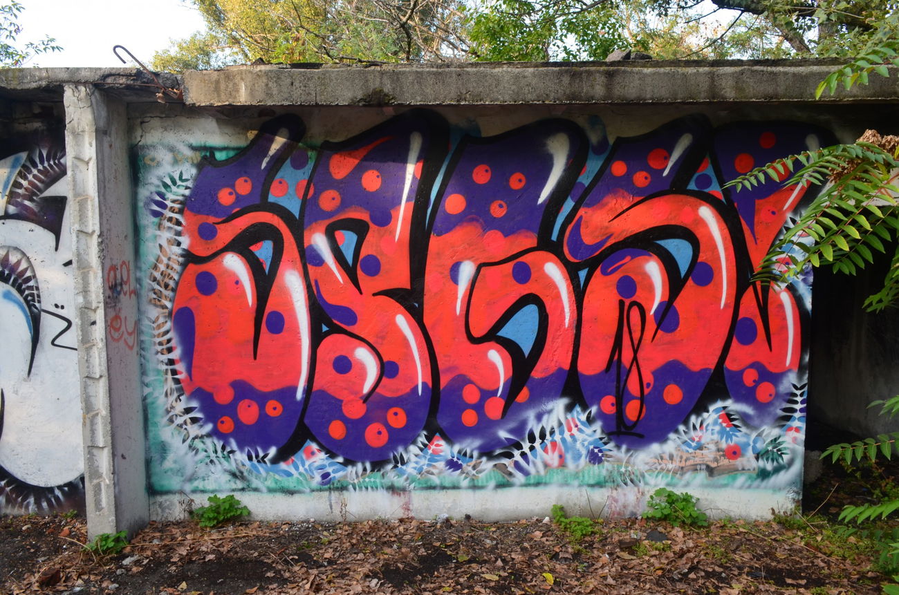 Graffiti Street Art - Photo by spgs222 - SPGS (2018)